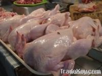 https://es.tradekey.com/product_view/Export-Chicken-Paw-Chicken-Feet-Suppliers-Poultry-Feet-Exporters-Chicken-Feets-Traders-Processed-Chicken-Paw-Buyers-Frozen-Poultry-Paw-Wholesalers-Low-Price-Freeze-Chicken-Paw-Best-Buy-Chicken-Paw-Buy-Chicken-Paw-Import-Chicken-Paw-Ch-4096653.html