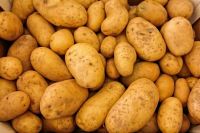 Excellent quality Fresh Potatoes 'A' Grade quality