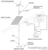 wind solar hybrid street lamp