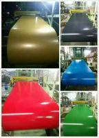 prepainted galvanized steel sheet coil