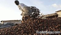https://www.tradekey.com/product_view/Best-Quality-Roasted-Cocoa-Beans-For-Sale-4057177.html