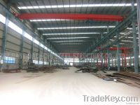 Large Steel Structure Building/ Big Project With Short Construction Cy