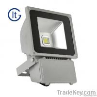 LED Floodlight/Outdoor Lighting