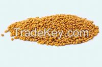 Yellow millet hulled