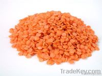 lentils