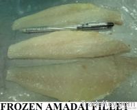 FROZEN RED HORSEHEAD FISH FILLET (AMADAI)