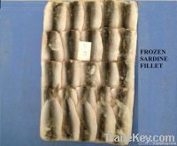 Frozen Sardine fish fillet