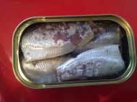 Canned sardines 100-425g