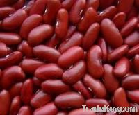 red kidney beans