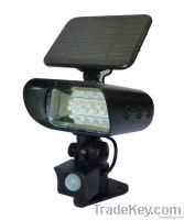 Solar PIR Sensor Spot Light