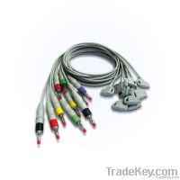 HP 10 lead EKG cable