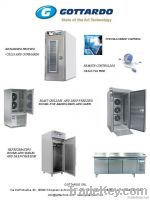 Shock freezers