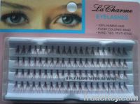 https://jp.tradekey.com/product_view/Best-Eyelashes-6016545.html