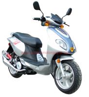 50cc/125cc/150/Cc/250cc Scooter (125cc 50cc with EEC Homologation)