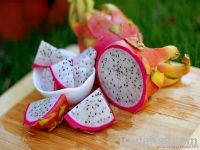 Dragon fruit