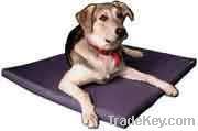 Magnetic Pet Pad For health