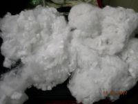 PSF(Polyester Staple Fiber)