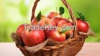 FRESH FRUITS(APPLE)