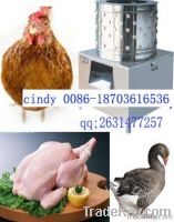 stainless steel poultry plucking machine with low price 0086-13673672593