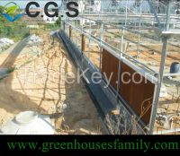 Commercial Plastic Greenhouses