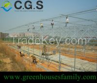 Plastic Film Commercial Vegetable Greenhouse
