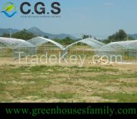 Single Span Plastic High Tunnel Greenhouses