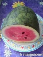 https://fr.tradekey.com/product_view/Asia-Fruit-fresh-Watermelon-4104673.html