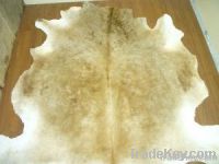 Cow Hide And Skin