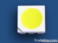 Top SMT PLCC6 SMD LED White 5050 Factory