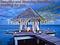 https://ar.tradekey.com/product_view/Holidays-To-Mauritius-An-Exotic-Tourist-Spot-For-4-Night-5-Days-7923303.html