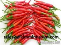 fresh chilli