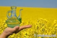 Rapeseed oil