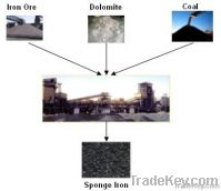 Sponge Iron/ DRI