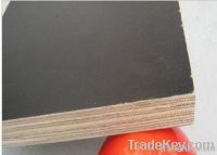 film faced plywood