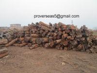 African Blackwood logs, African Ebony