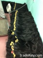 Human hair , virgin remy hair from Vietnam