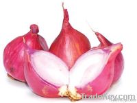 RED ONION