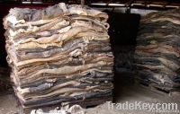 Cow Hides | Animal Skins