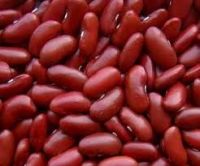 Red Kidney Bean