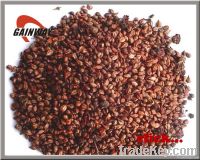 Grape Seed Extract powder
