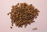 Wood pellets