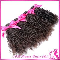 6A Indian Virgin Hair Curly Human Hair Weft