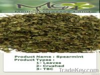 Dried Spearmint