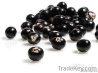Acai berries extract powder Anthocyanins by HPLC