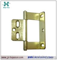solid brass hinge