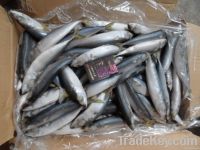 100-120g frozen mackerel