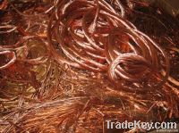 Copper Wire Scraps Suppliers | Copper Scrap Exporters | Copper Scrap Manufacturers | Cheap Copper Scrap | Wholesale Copper Scraps | Discounted Copper Scrap | Bulk Copper Scraps | Copper Scrap Buyer | Import Copper Scrap | Copper Scrap Importers | Copper S