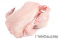 Export Chicken Meat | Chicken Meat Suppliers | Poultry Meat Exporters | Chicken Pieces Traders | Processed Chicken Meat Buyers | Frozen Poultry Meat Wholesalers | Halal Chicken | Low Price Freeze Chicken Wings | Best Buy Chicken Parts | Buy Chicken Meat |