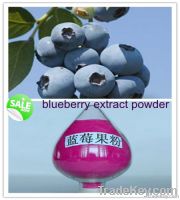 blueberry juice powder