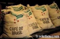 Arabica Coffee